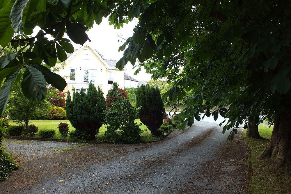 Llwyn Country House 래넬리 외부 사진